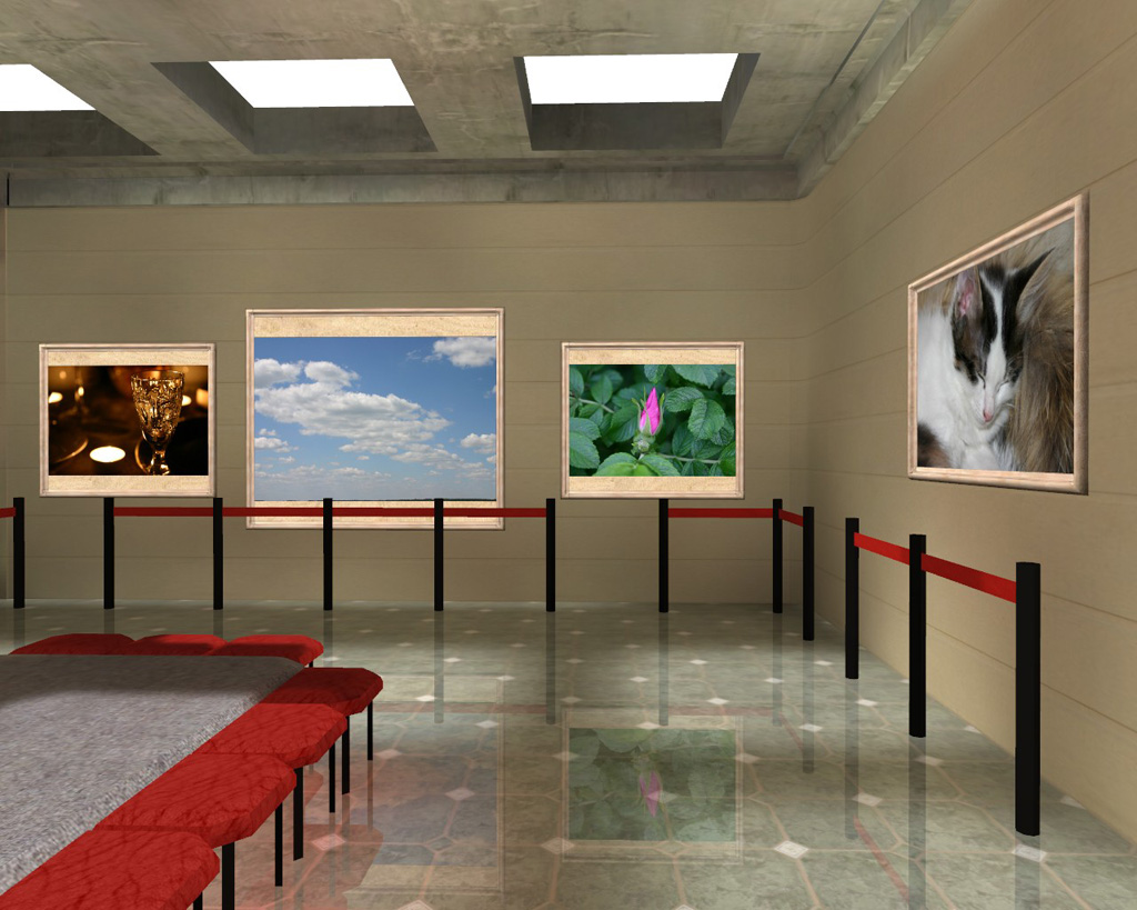Showroom gallery - My Pictures 3D